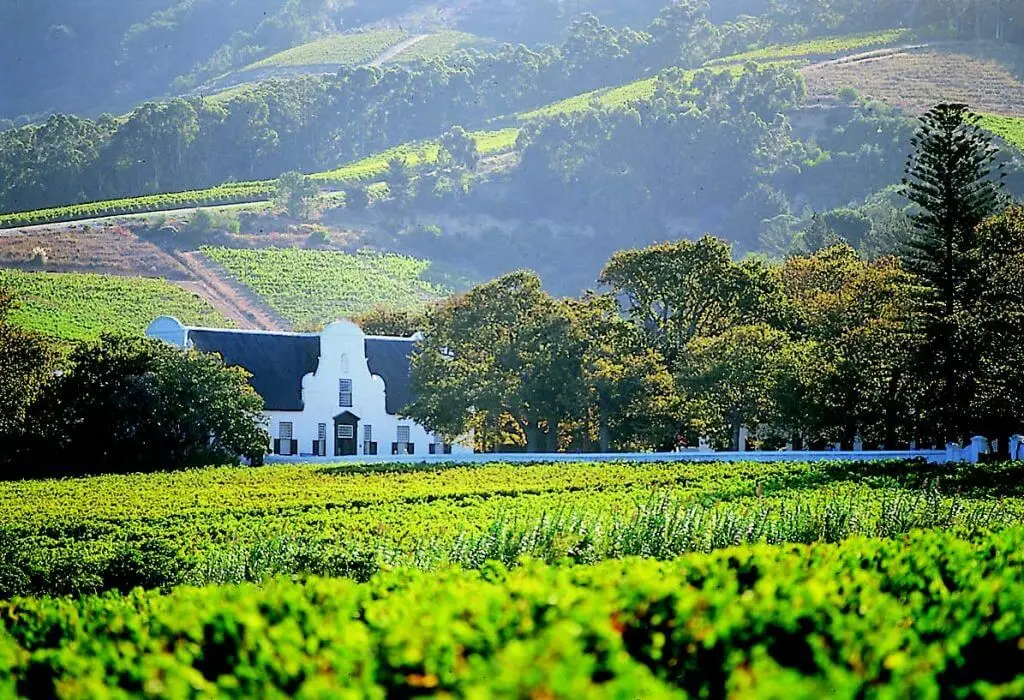 Cape Winelands