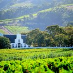 Cape Winelands