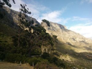 Table mountain