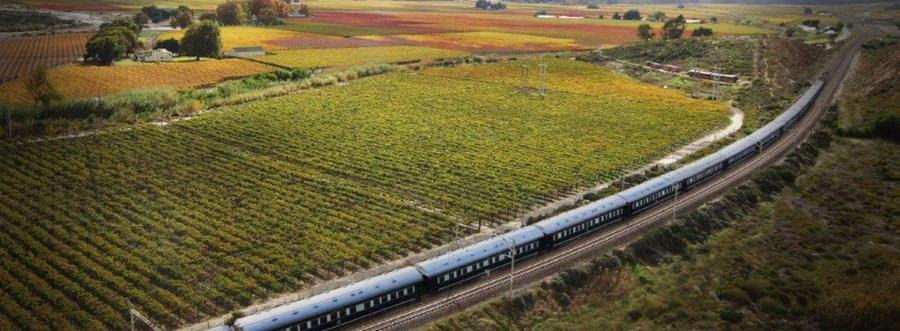 Luxury Train Holidays South Africa | Rovos Rail & Blue Train