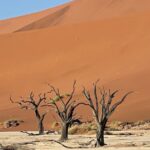 Rovos Namibia Safari