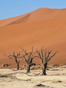 Rovos Namibia Safari