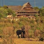 Victoria Falls Safari Packages