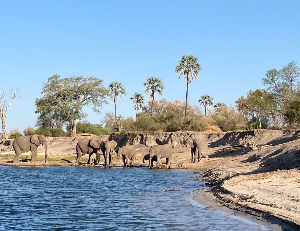 Victoria Falls cruise