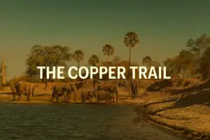 African elephants gathered at a riverside under palm trees along the Copper Trail, evoking the majesty and layered landscapes of Rovos Rail’s transcontinental journey from Victoria Falls to Lobito.