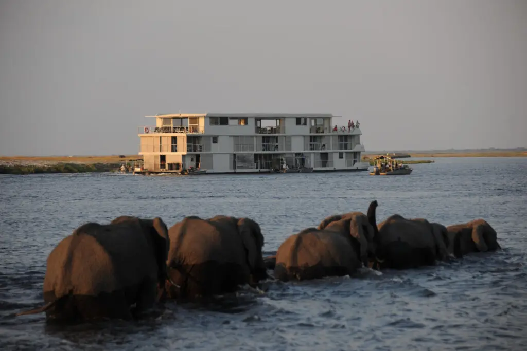Zambezi Queen River Safair